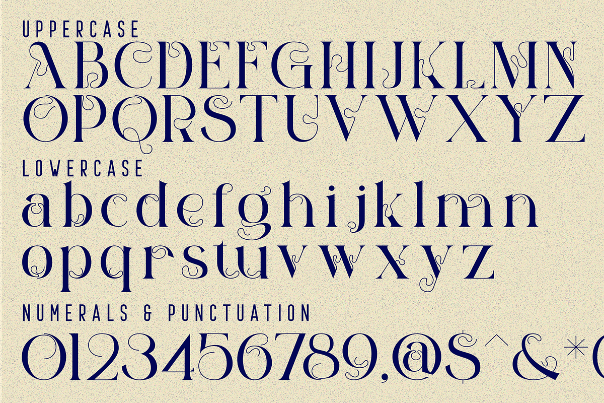 Historical Collective Font, a Serif Font by 177Studio (Photo 7 of 8)