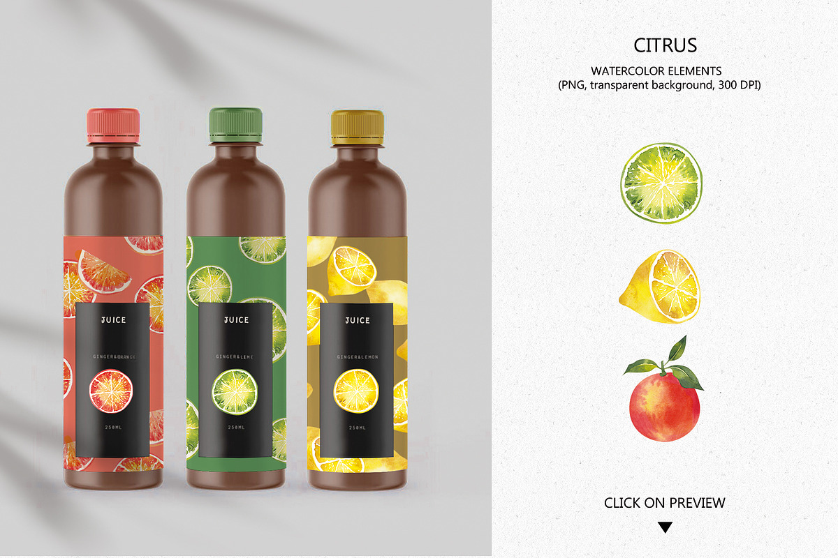 CITRUS FRUITS, an Illustration by Elena_Sedova (Photo 4 of 8)