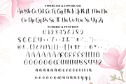 Karmilla | Script Font, a Handwritten Font by Scratchones (Thumbnail 7 of 8)