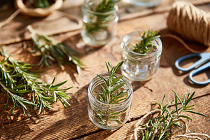 Fresh rosemary sprigs in glass jars on wooden table with twine and scissors, a Photo by AlyaAnd