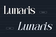 Aguilary Modern - Elegant Logo Font, a Serif Font by Nirmana Visual (Thumbnail 3 of 16)