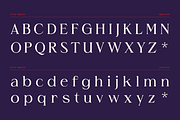 Grise - Variable Serif (18 Fonts), a Serif Font by VectorKiss GraphicsSupply (Thumbnail 9 of 18)