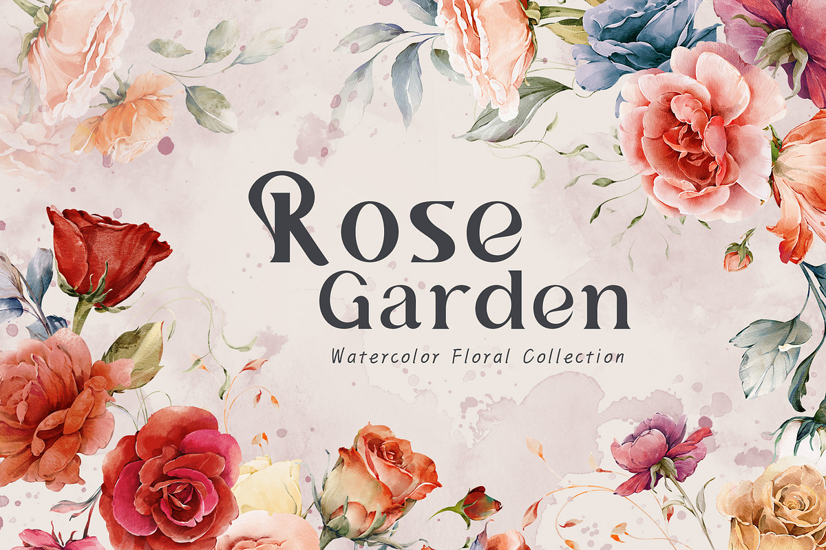 Watercolor Rose Collection, a Decorative Illustration by Damian Roh (Photo 1 of 16)