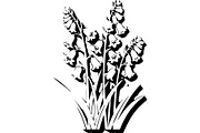 Vintage Botanical Flower Vector Set, an Object Illustration by Designer_Momina (Thumbnail 19 of 26)