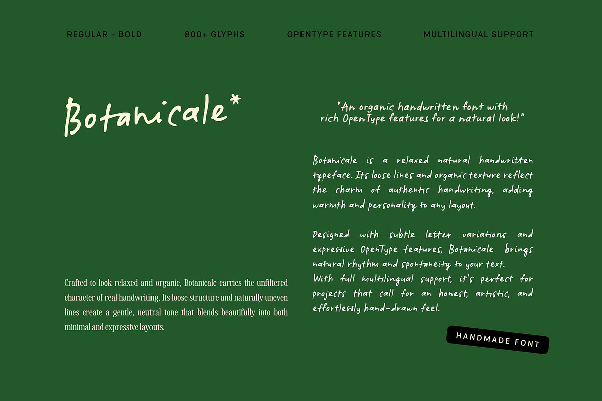 Botanicale | Handwritten Font, a Handwritten Font by type peace (Photo 3 of 18)