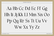 Walknoice - Modern Stylish, a Serif Font by RockboyStd (Thumbnail 9 of 12)