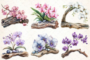 Exclusive Orchid Ikebana on Driftwoo, an Illustration by DreamCafeArt (Thumbnail 4 of 7)