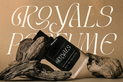 LT Rogile - Modern Serif Typeface, a Serif Font by Luminotype (Thumbnail 10 of 20)