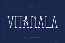 Vitanala | Elegant Serif Font