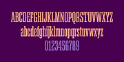 Akkordeon Slab, a Slab Serif Font by Emtype Foundry (Thumbnail 9 of 9)