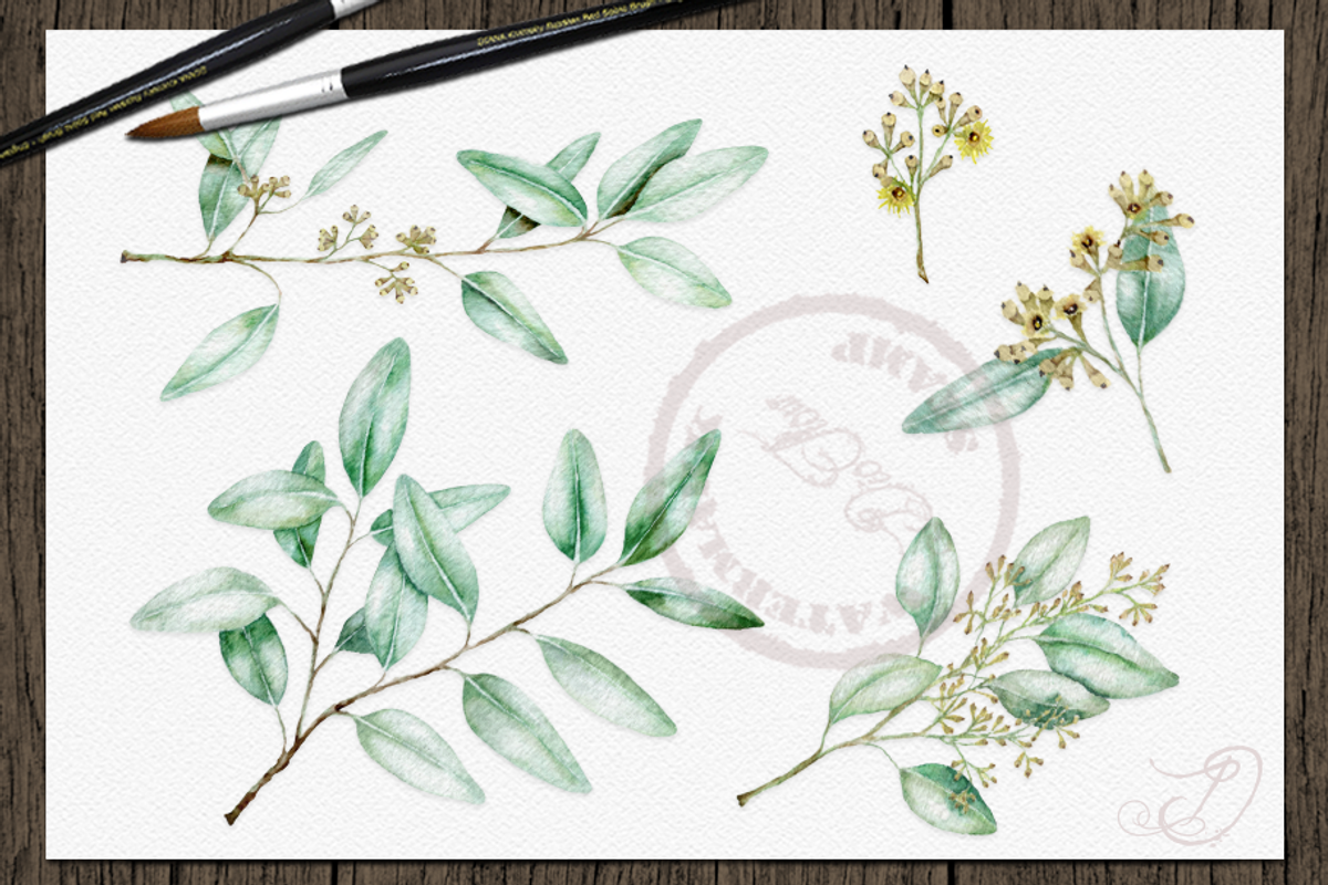 Seeded Eucalyptus Illustration, a Decorative Illustration by DioFlow (Photo 3 of 6)
