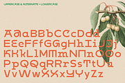 Kabog — Modern & Classic Font, a Sans Serif Font by Enxyclo Studio (Thumbnail 9 of 15)