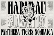 Athemi - Elegant Condensed Serif, a Serif Font by roomspace creative lab (Thumbnail 4 of 10)