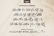 Merline Script, a Script Font by TypeMakers (Thumbnail 11 of 12)