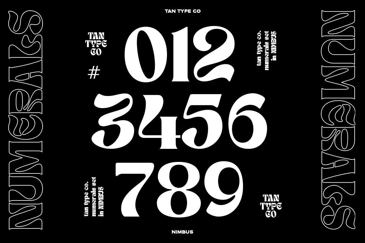 TAN - NIMBUS, a Font by TanType (Photo 7 of 20)