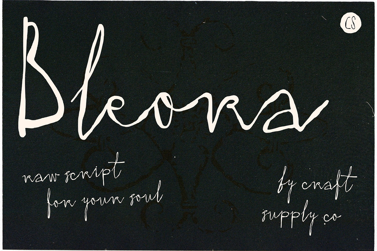 Raw Handwritten Script Bundle, a Script Font by Craft Supply Co. (Photo 2 of 11)