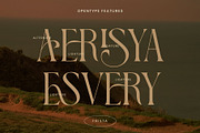 FRISTA || modern ligature, a Serif Font by ToniStudio (Thumbnail 8 of 12)