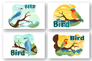 11 Bird Animal Vector Illustration