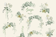 Sage Floral Illustrations, an Object Graphic by whiteheartdesign (Thumbnail 2 of 14)