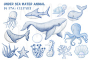 Under Sea Animal Watercolor Clipart., an Illustration by Dstudio (Thumbnail 1 of 4)