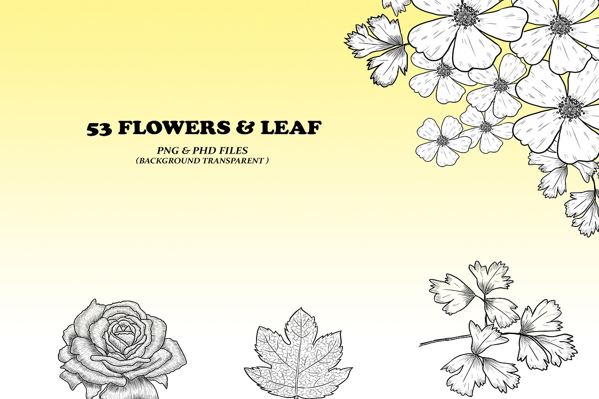 Native American Flowers Illustration, a Decorative Illustration by Art Zooted (Photo 3 of 5)