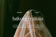 Salsify - Classic Thin Serif, a Serif Font by Pandeka Studio (Thumbnail 3 of 12)