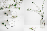 Ranunculus and blooming branches, an Arts & Entertainment Photo by Alena Ermakova (Thumbnail 2 of 3)
