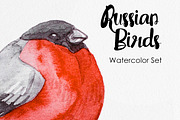 Watercolor Russian Birds, an Animal Illustration by Anna Faun (Thumbnail 1 of 4)