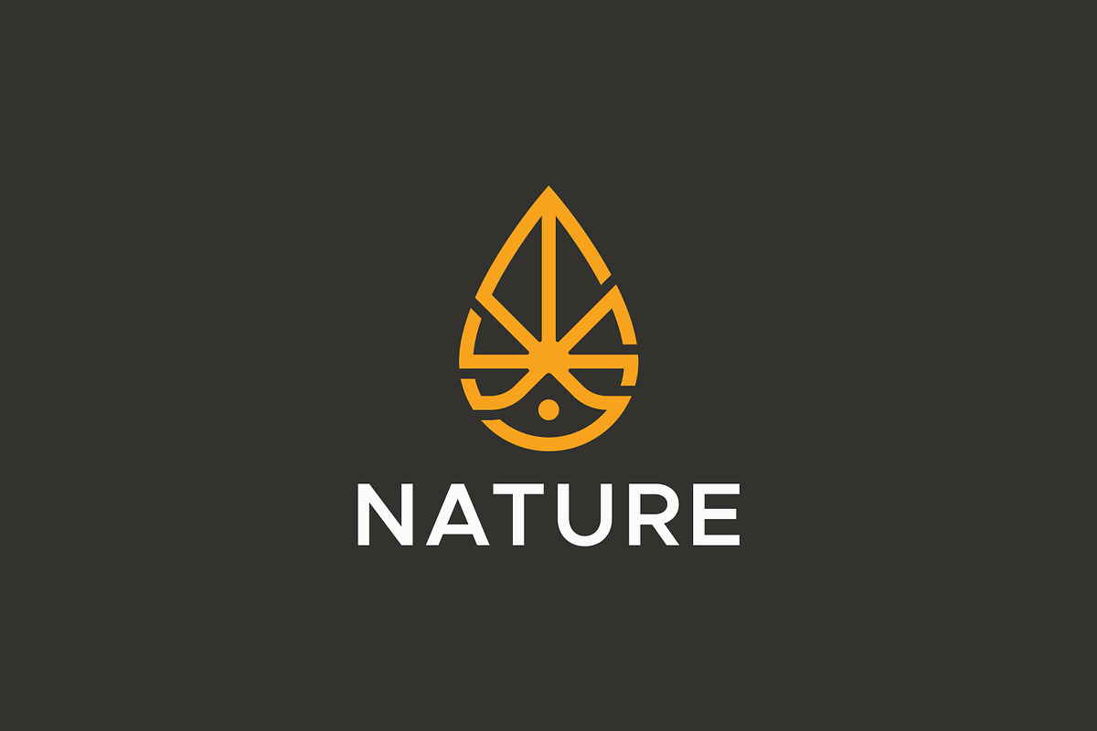 Natural Water Drop & Leaf Logo, a Branding & Logo Template by Signatoro (Photo 2 of 3)