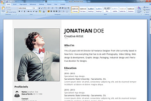 Professional Resume V.1