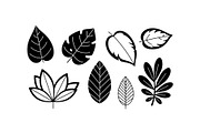 Minimal Botanical Leaf Silhouette Bu, an Illustration by Creativeshirt (Thumbnail 27 of 51)