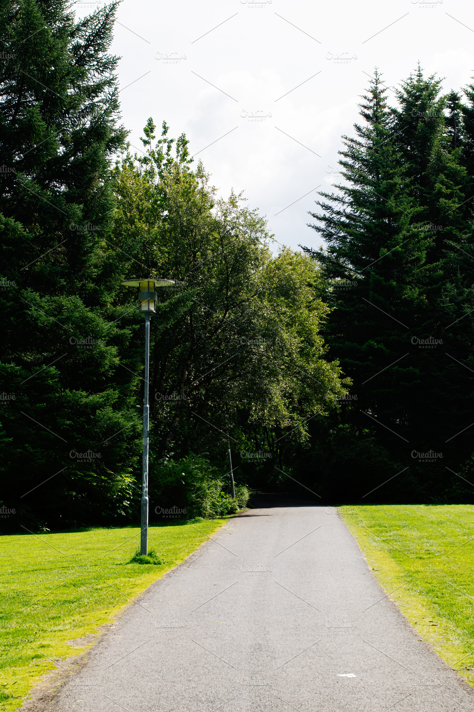 Paved path surrounded by lush green trees in Reykjavik, Iceland, a Photo by AS photostudio