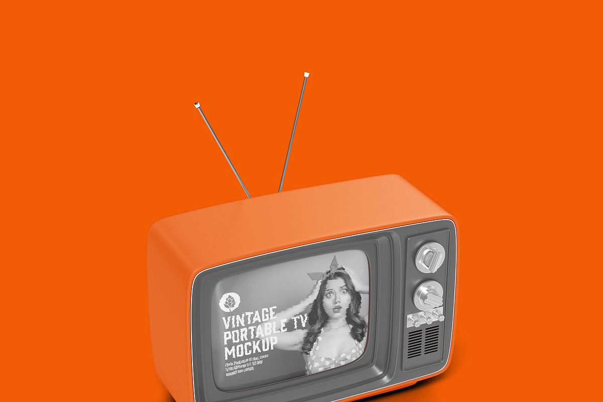Vintage Portable TV with Old Video E, a Product Mockup by OneVectorStock (Photo 16 of 19)