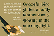 Mulinar Rounded, a Sans Serif Font by Craft Supply Co. (Thumbnail 7 of 8)