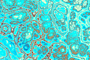 20 turquoise textures 64 Megapixel, a Texture Graphic by tkdesign (Thumbnail 16 of 20)