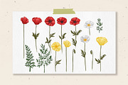 Wild herbs. Wildflowers in summer, a Decorative Illustration by irina.vaneeva (Thumbnail 7 of 8)