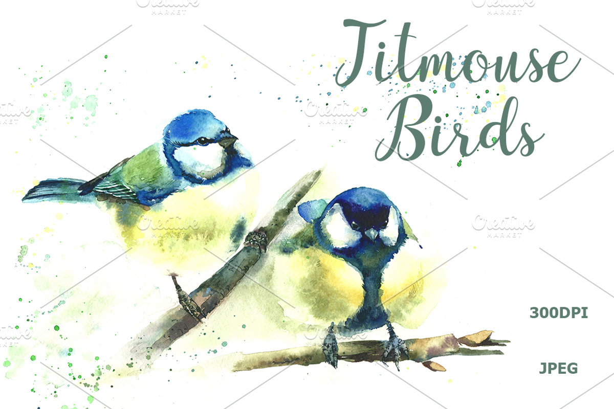 SALE Watercolor Titmouse birds, an Animal Illustration by MaryAmi (Photo 1 of 3)