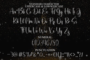 Special Christmas, a Handwritten Font by FreshTypeINK (Thumbnail 8 of 8)