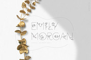 Florium - floral logo font, a Sans Serif Font by Favete Art (Thumbnail 10 of 21)
