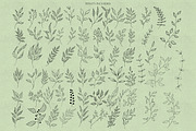 Leaves & Twigs Procreate Stamps Bund, a Brush Add-On by Dervik Art Store (Thumbnail 2 of 4)