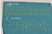 Crystal Loom Handwriting Font, a Handwritten Font by GearShift (Thumbnail 6 of 7)