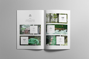 RAINFOREST Brochure / Portfolio