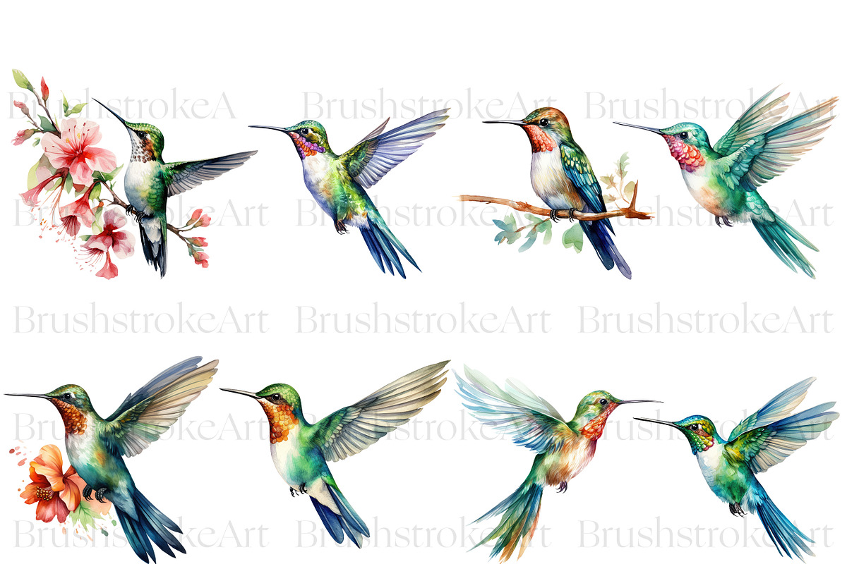 Hummingbird Clipart, Hummingbirds, an Animal Illustration by BrushstrokeArtGB (Photo 3 of 8)