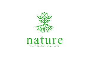 Tropical plant logo template, a Branding & Logo Template by Pyruos ID