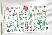 Floral Elements. Seamless Patterns., an Illustration by Diana Kovach (Thumbnail 9 of 10)