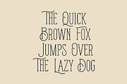 WESTERN STORY - Vintage Slab Serif, a Slab Serif Font by Havinkpen (Thumbnail 4 of 7)