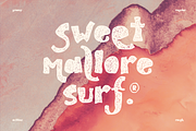 Flemingo Plus, a Sans Serif Font by Sans & Sons (Thumbnail 5 of 10)