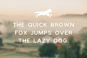 Melvin, a Sans Serif Font by Woodcrest Design Co. (Thumbnail 4 of 4)