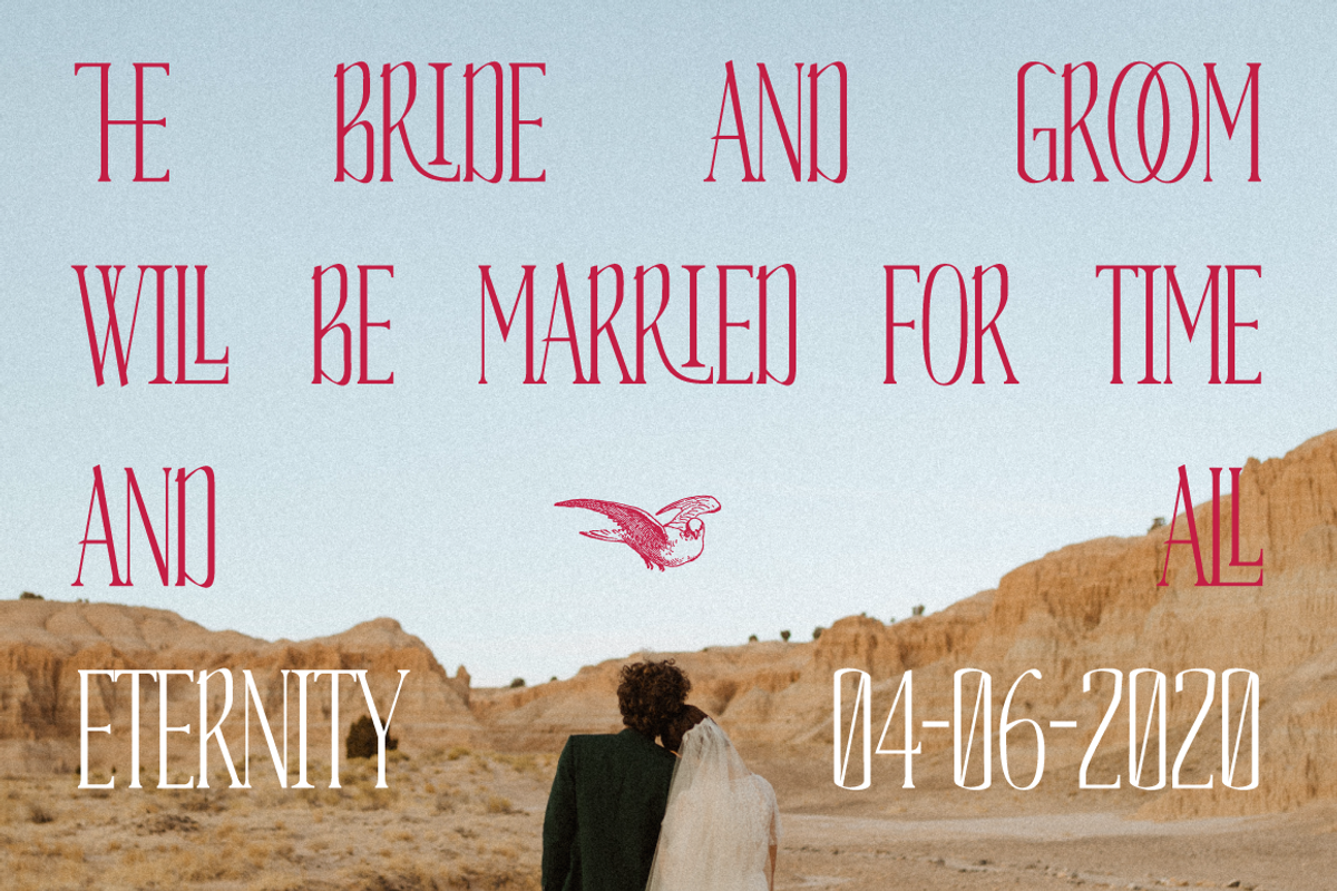 Vows Elegant Condensed Serif, a Serif Font by That That Creative (Photo 9 of 10)