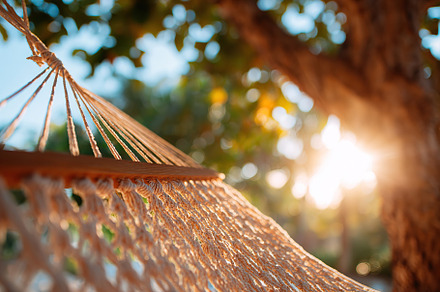 Relaxing in a hammock under the trees with warm sunlight shining through the le, an Abstract Photo by AlyaAnd